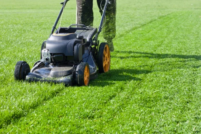 Person mäht Rasen mit Rasenmäher